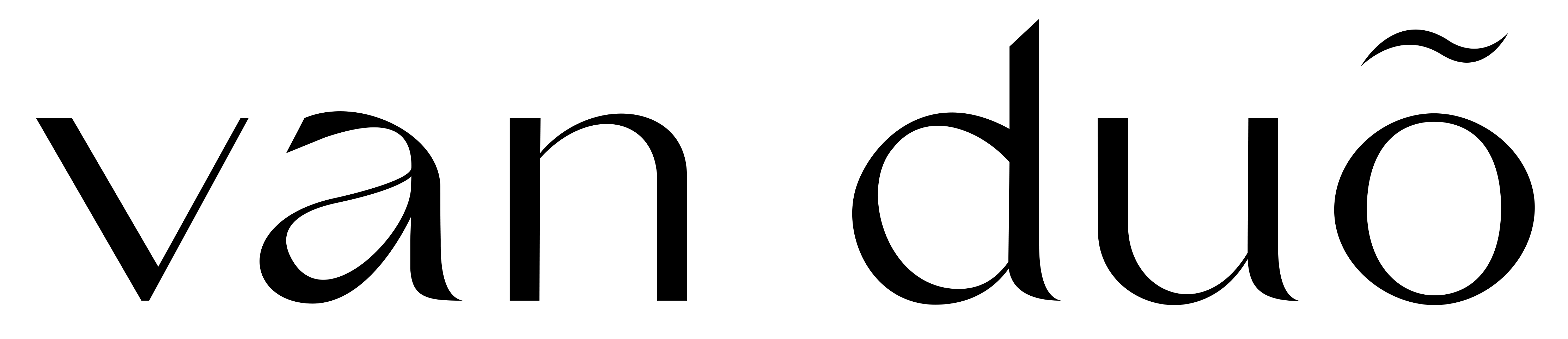 Van Duo Logo (1)
