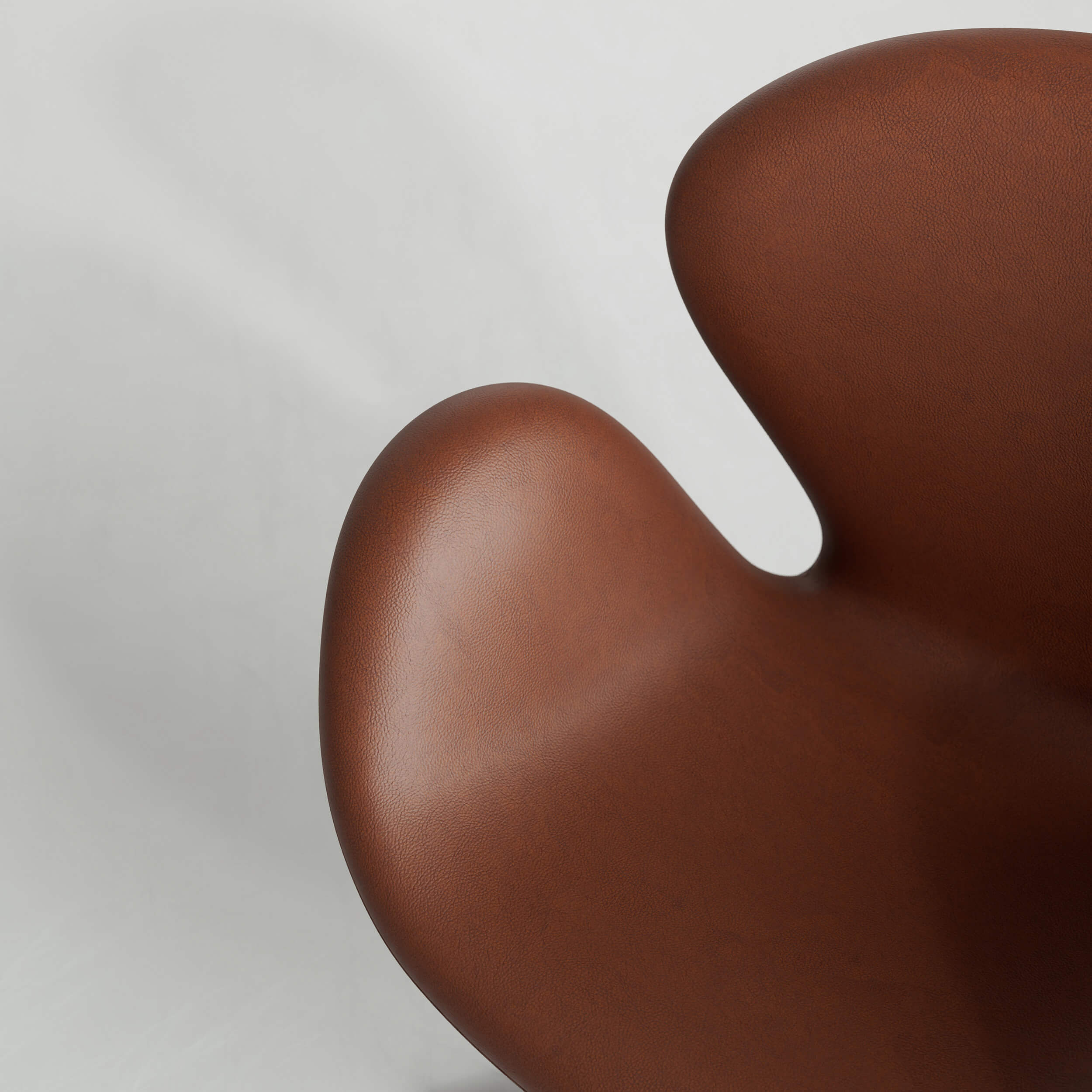 FH_Swan_Leather_01